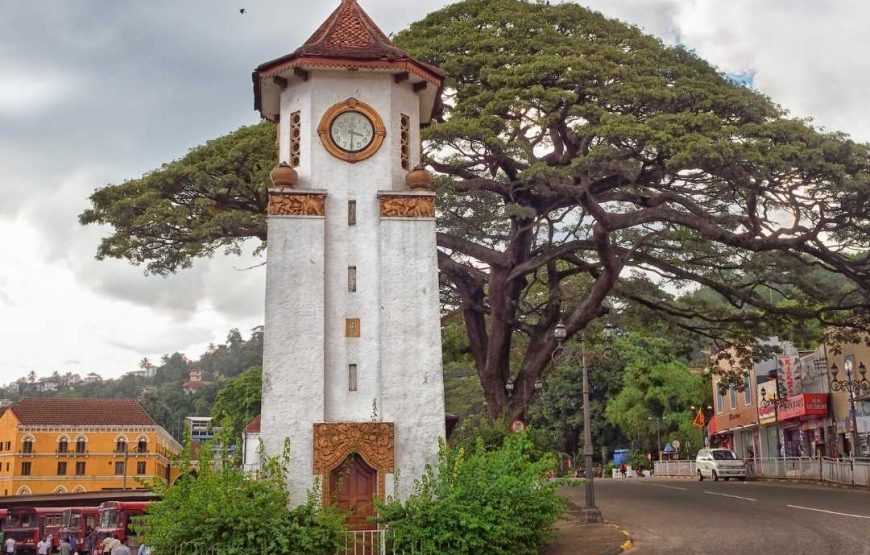 Kandy & Ambuluwawa Highlights Day Tour