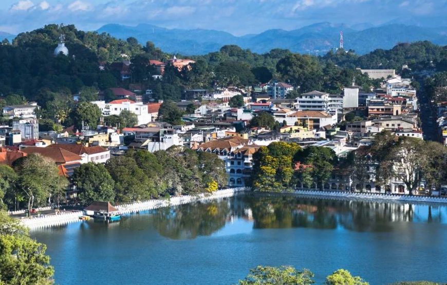 Kandy & Ambuluwawa Highlights Day Tour