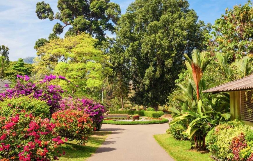 Kandy & Ambuluwawa Highlights Day Tour