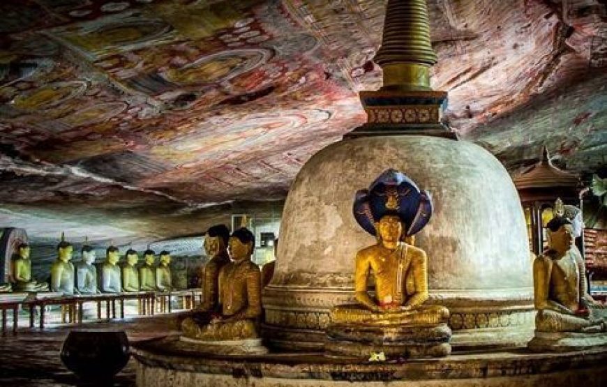 Kandy to Sigiriya & Village Experience