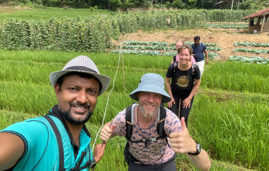 Authentic Sri Lankan Cooking Experience