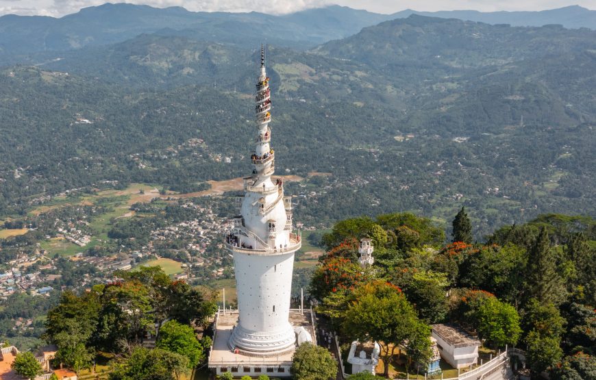 Kandy & Ambuluwawa Highlights Day Tour